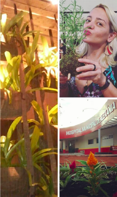 Ecodesign and plant-based work — kokedama, urban greening and hospital garden initiatives